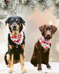 Bild in Galerie-Betrachter laden, Halstuch "Sweet Christmas"