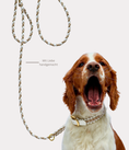 Bild in Galerie-Betrachter laden, Leine & Halsband "Goldy"
