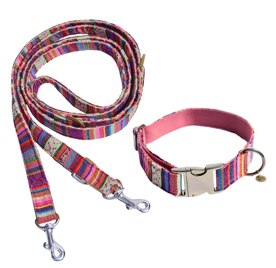 Leine + Halsband "Happy" - Handgemacht mit Liebe  Hundewelt Double Pack