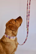 Bild in Galerie-Betrachter laden, Leine & Halsband "Happy"