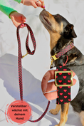 Bild in Galerie-Betrachter laden, Leine & Halsband "Herzi"
