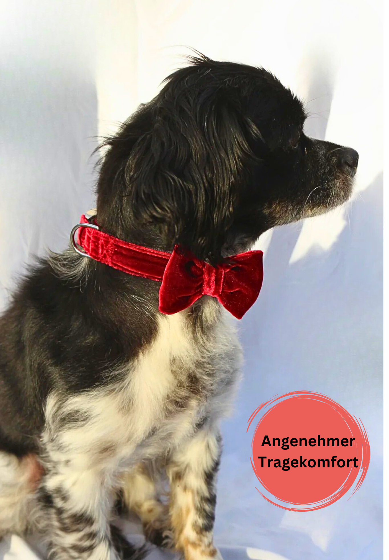 Halsband "Ruby" mit Schleife
