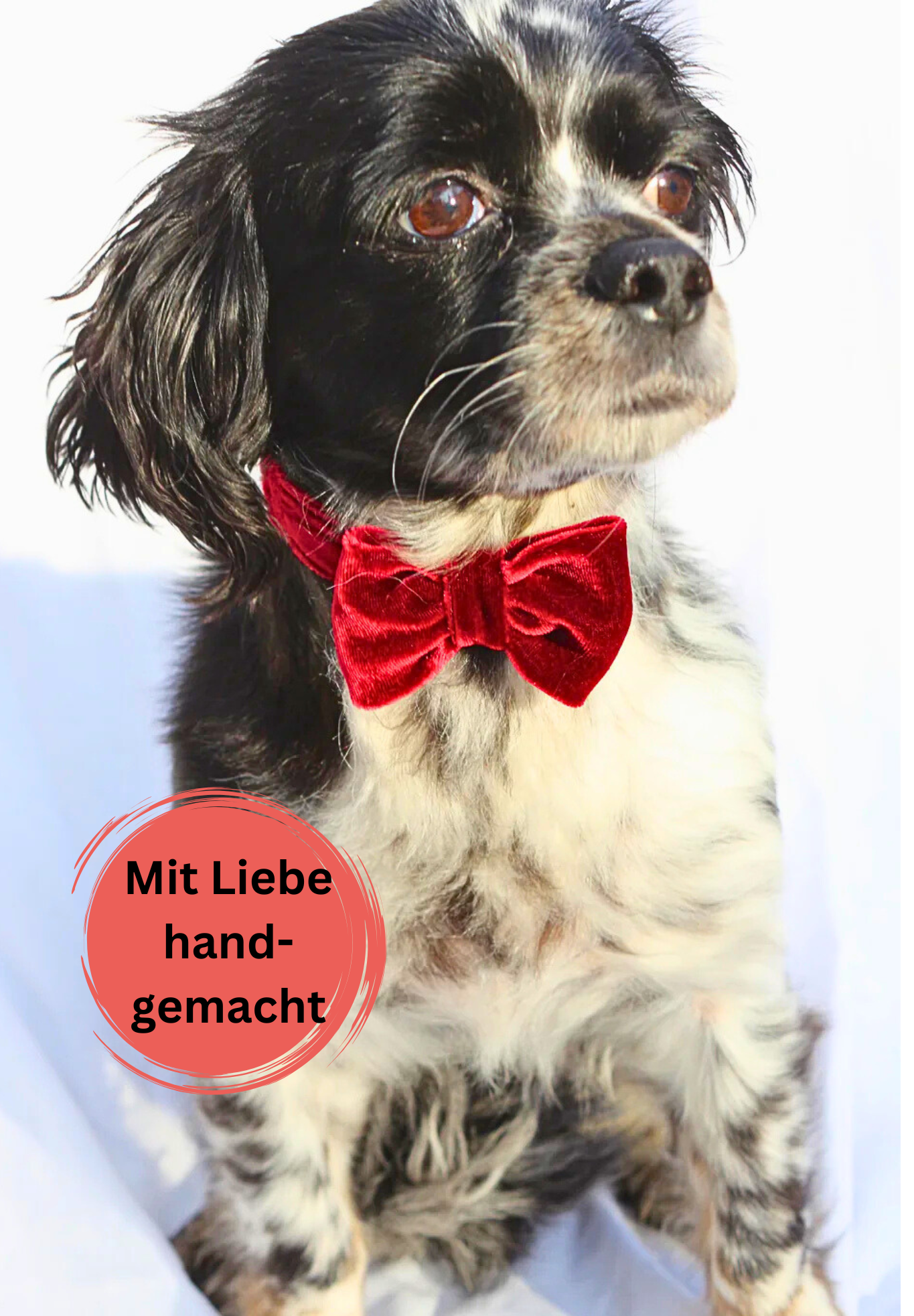 Halsband "Ruby" mit Schleife