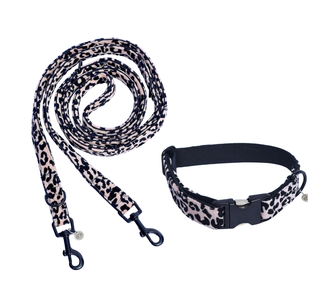 Leinen- Halsbandsets