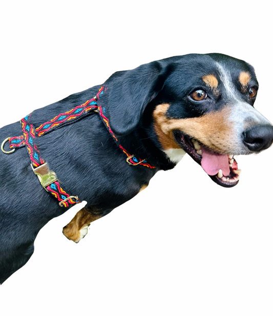 Hundegeschirr "Polli"