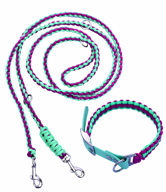 Leine & Halsband "Akela"