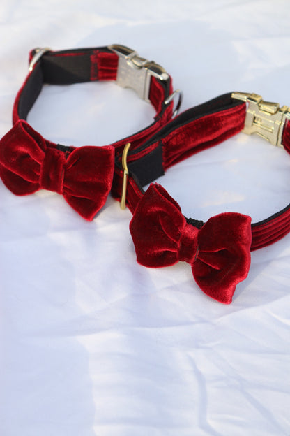 Halsband "Ruby" mit Schleife