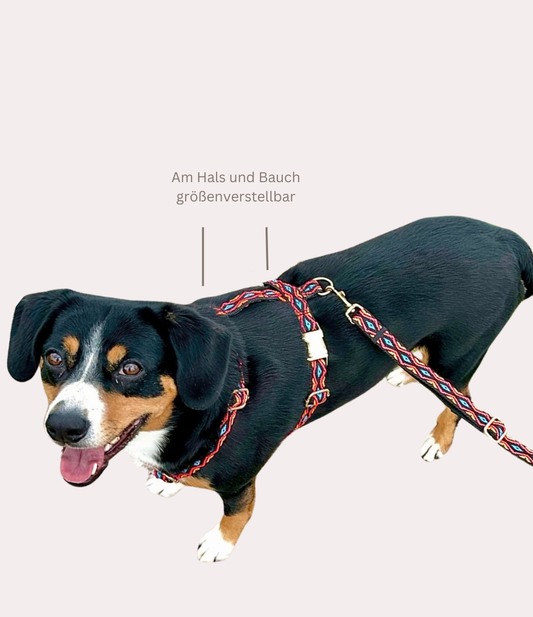 Hundegeschirr "Polli"