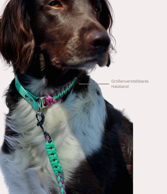 Halsband "Akela"