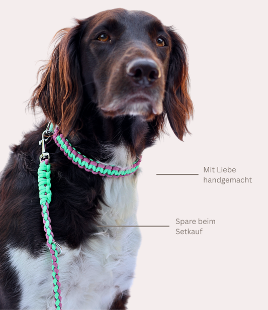 Leine & Halsband "Akela"