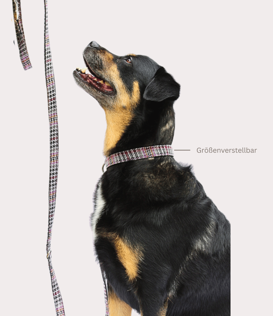 Halsband "Chic"