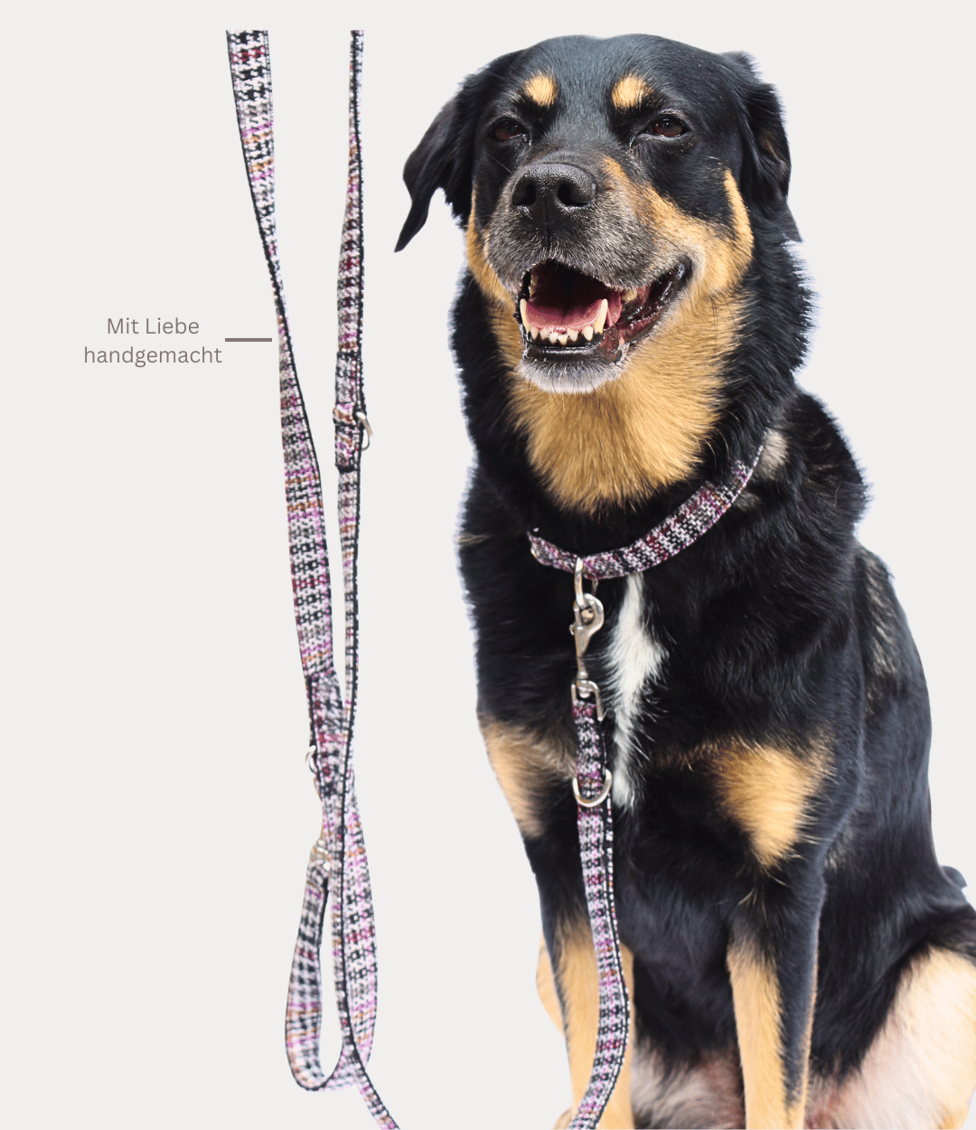 Halsband "Chic"