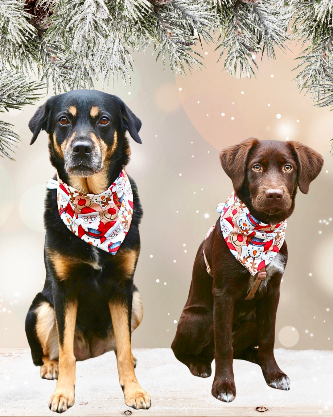 Halstuch "Sweet Christmas"