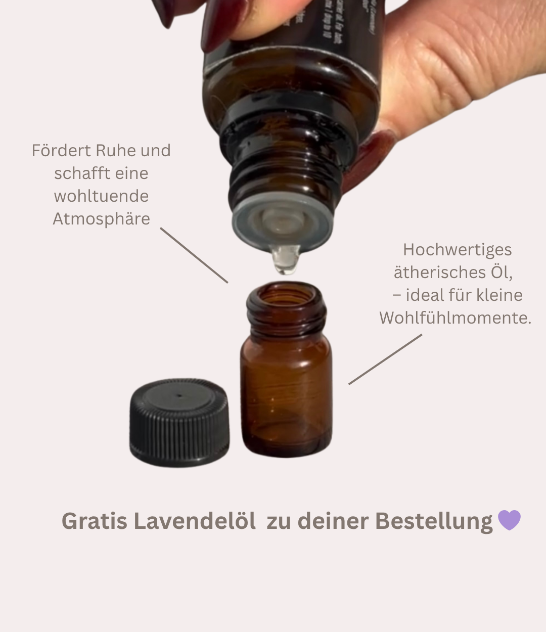 Hundekette mit Mikroorganismen & Rosenqaurz