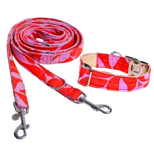 Leine & Halsband "Femme"