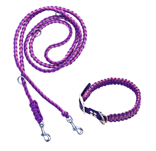 Leine & Halsband "Glossy"