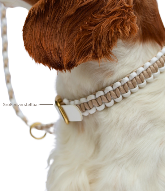 Halsband "Goldy"