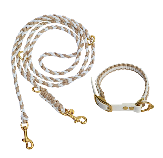 Leine & Halsband "Goldy"
