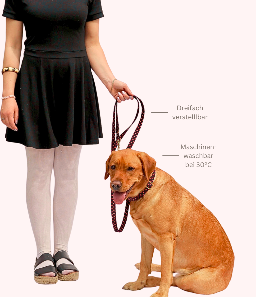 Leine & Halsband "Herzi"