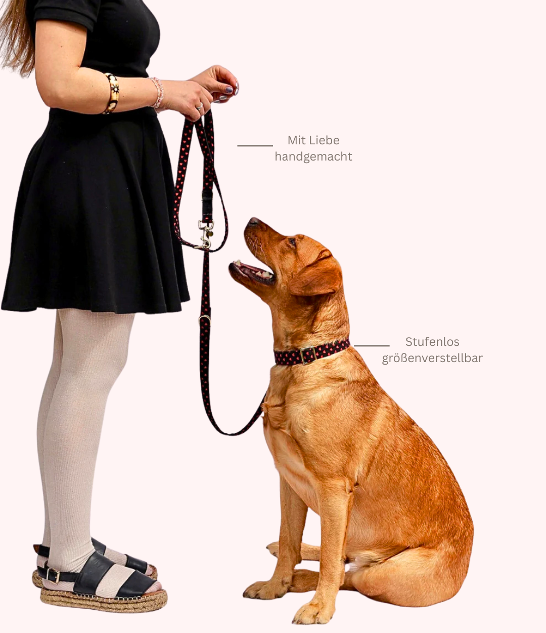 Leine & Halsband "Herzi"