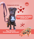 Bild in Galerie-Betrachter laden, Leine & Halsband "Herzi"
