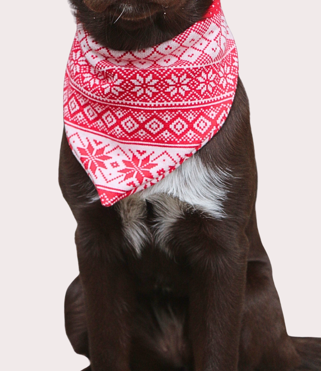 Halstuch "Nordic Winter"