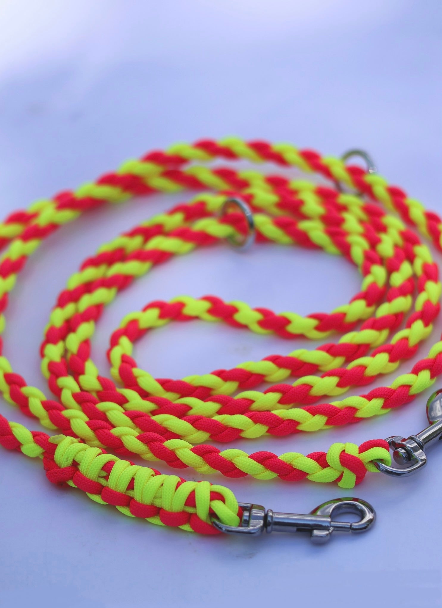 Leine & Halsband "Olino"