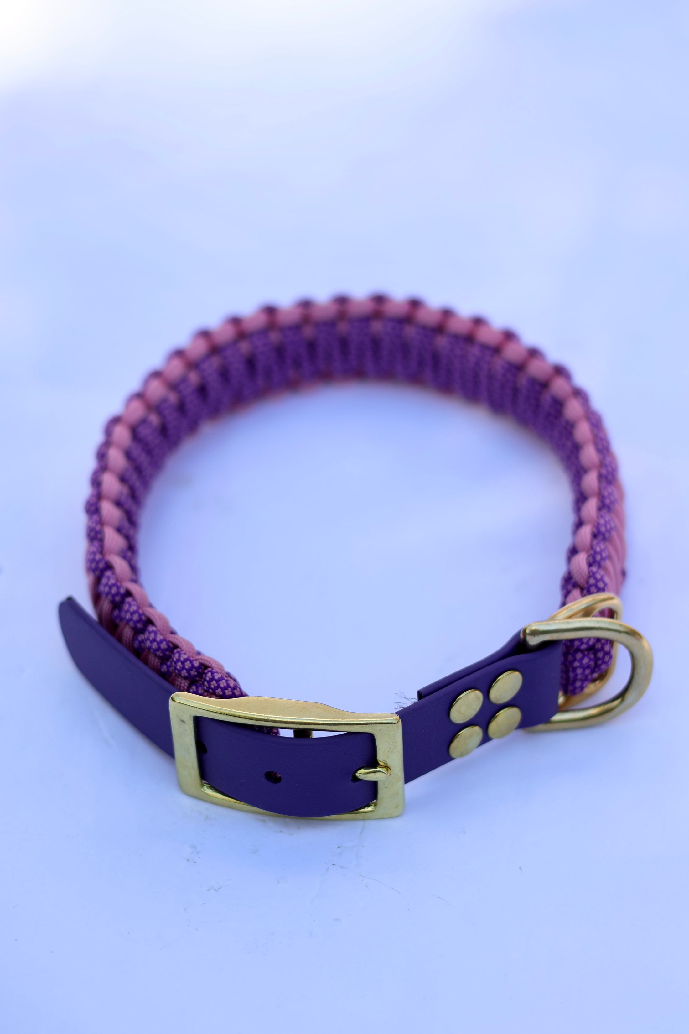 Halsband "Glossy"