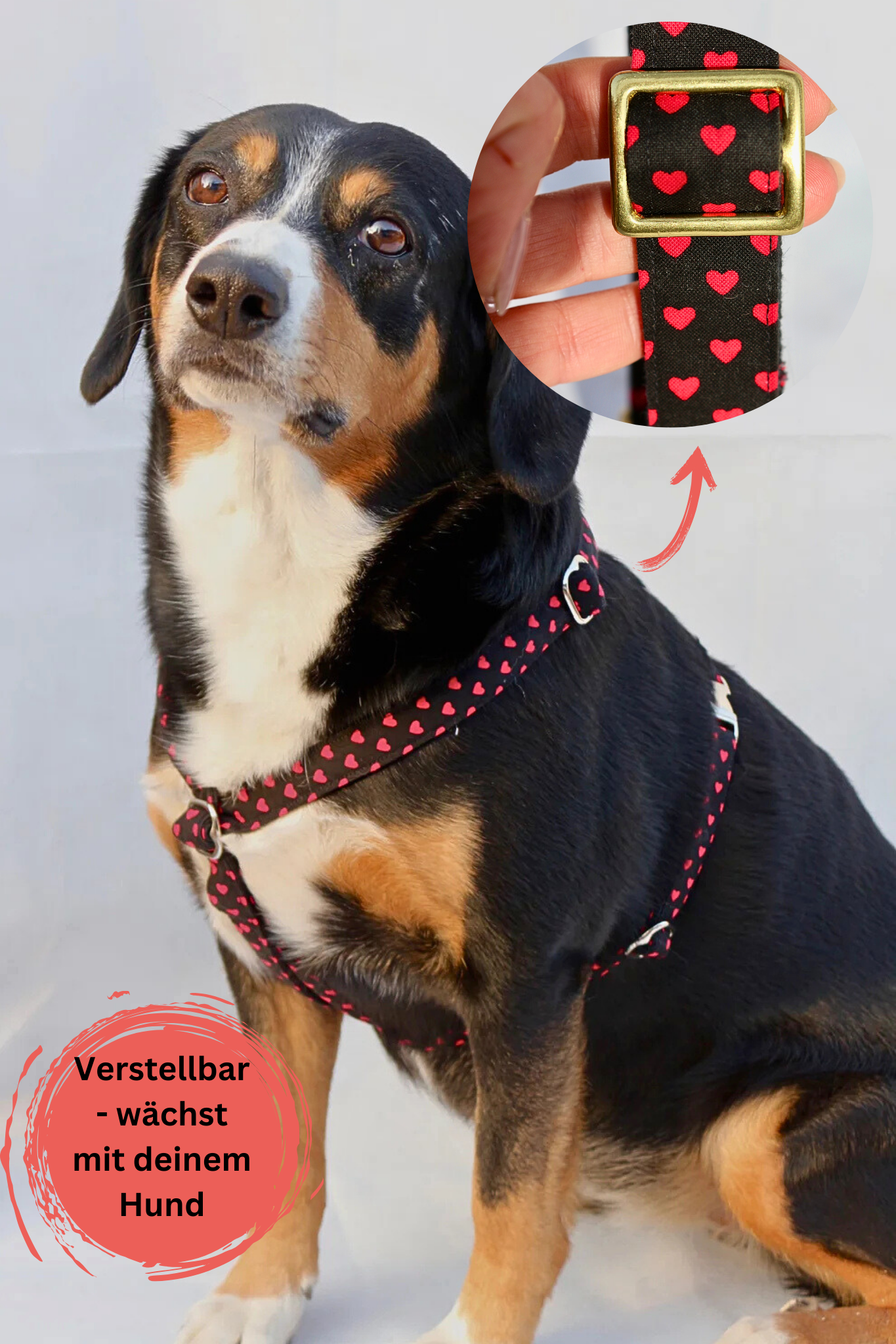 Hundegeschirr "Herzi"