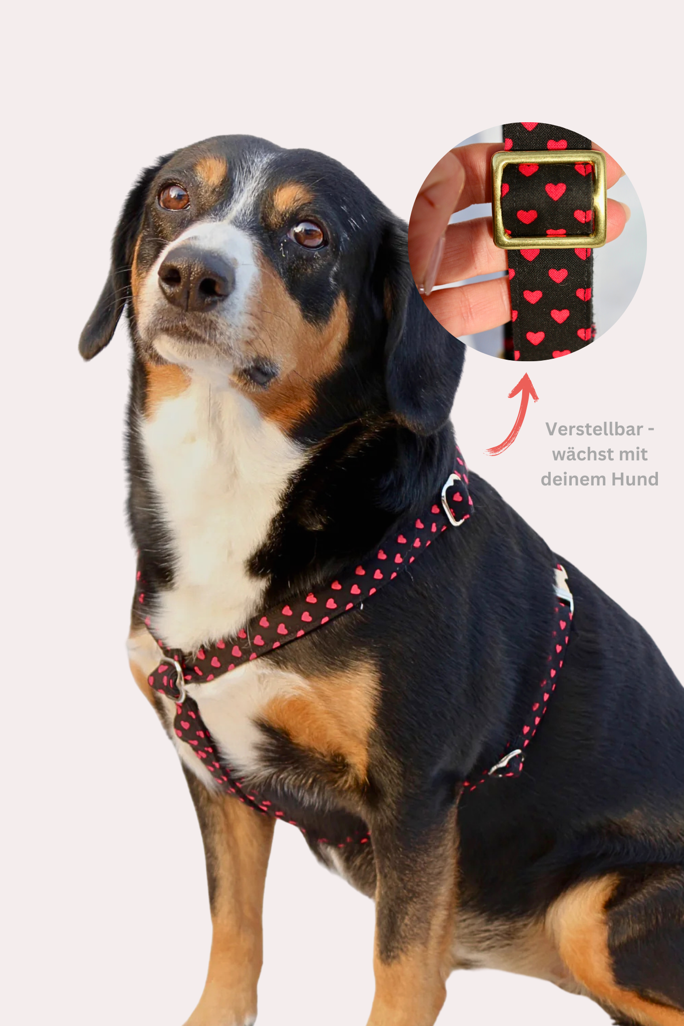 Hundegeschirr "Herzi"