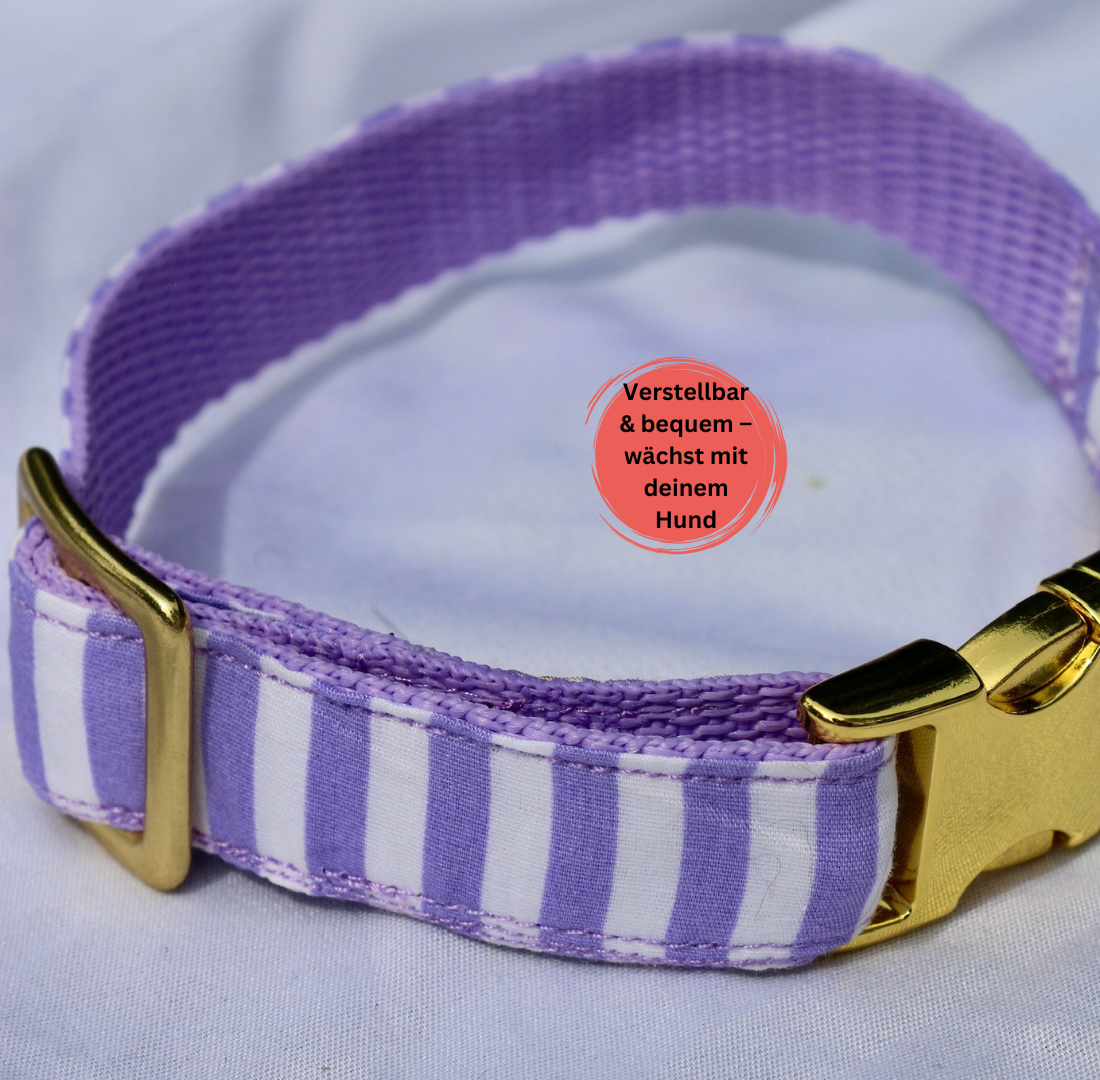 Leine & Halsband "Loko"