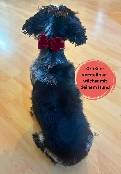 Halsband "Ruby" mit Schleife