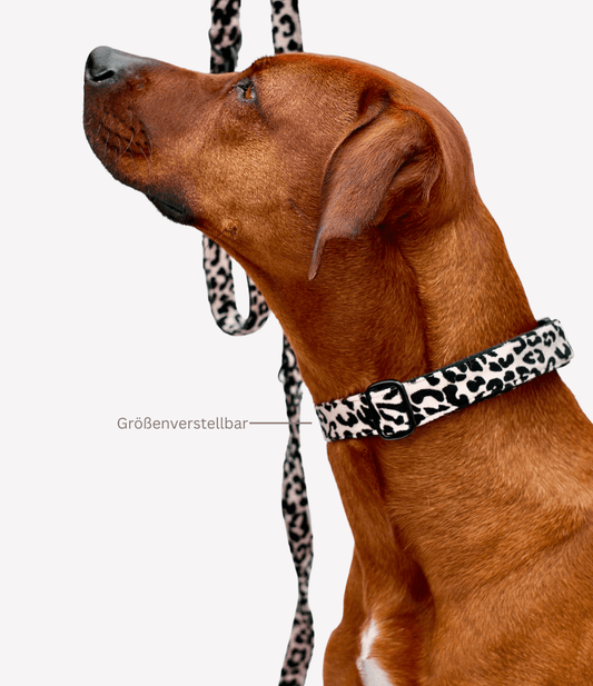 Halsband "Leo"