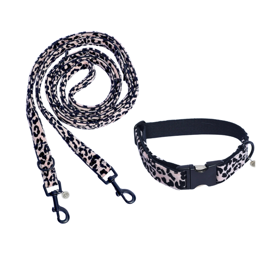 Leine & Halsband "Leo"