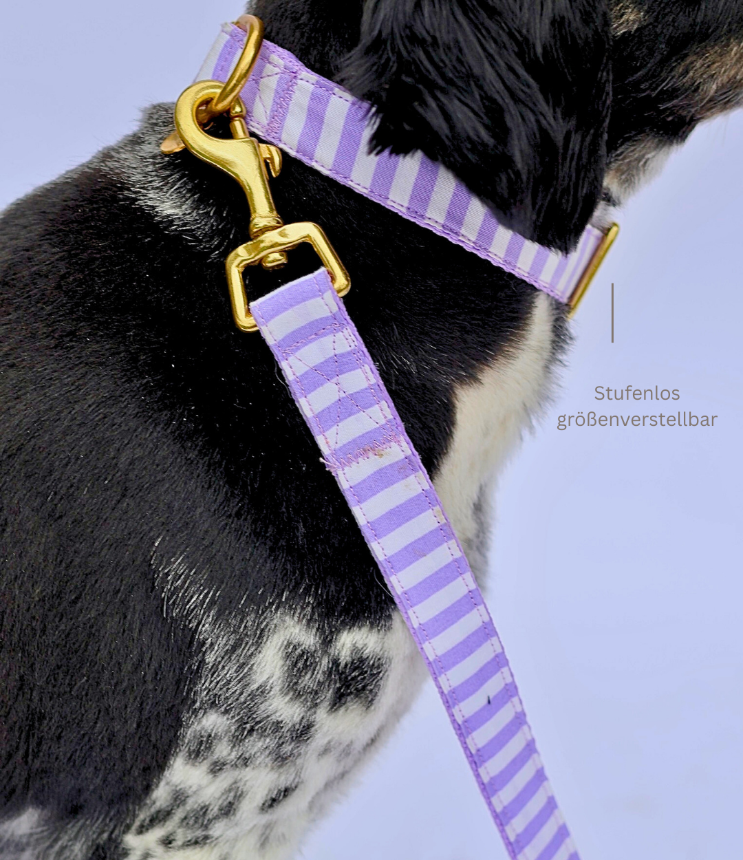 Leine & Halsband "Loko"