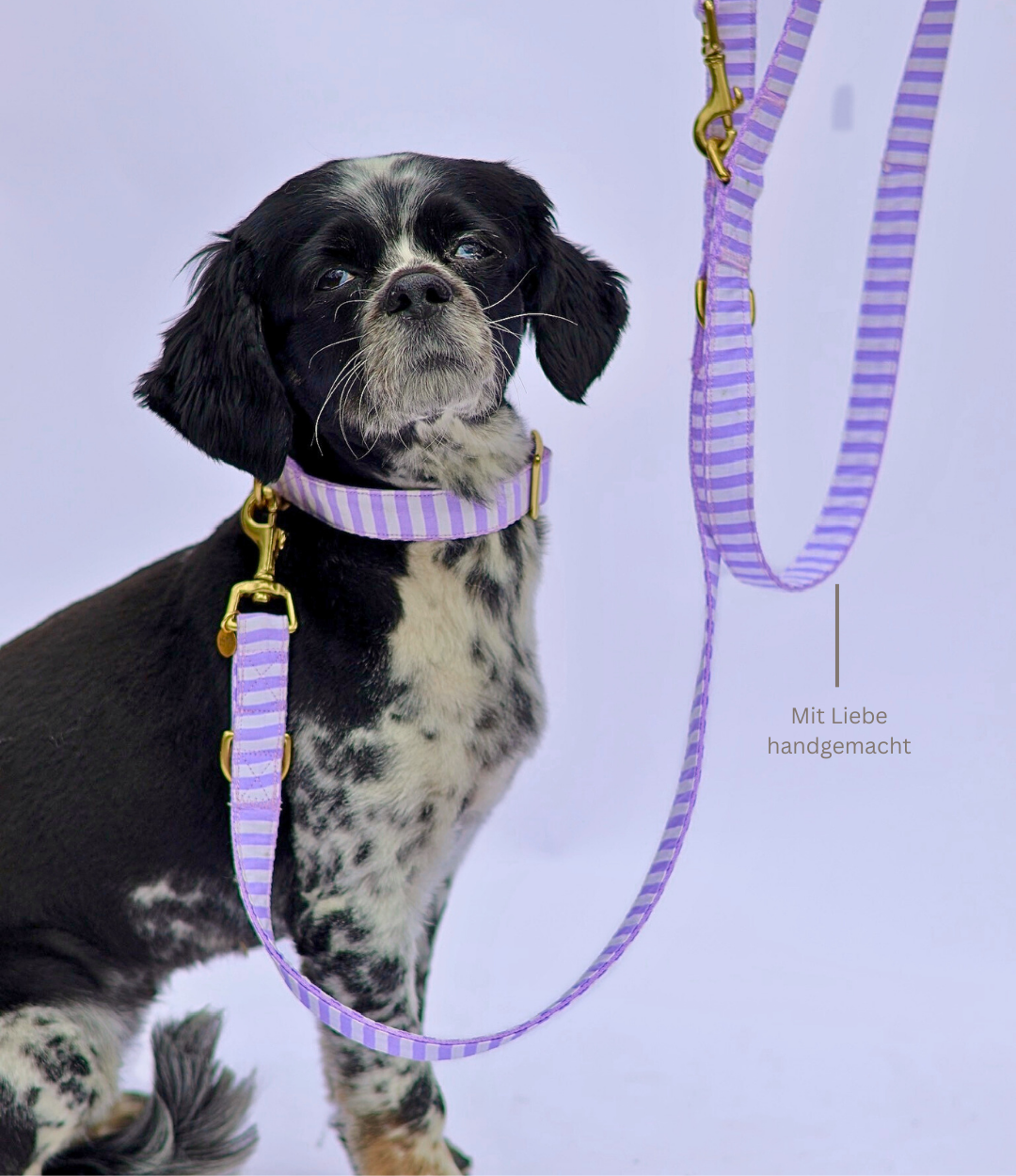 Halsband "Loko"
