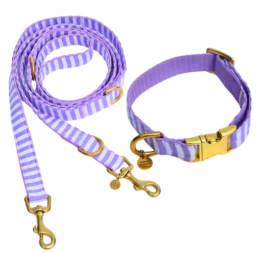 Leine & Halsband "Loko"