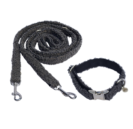 Leine & Halsband "Mickey"