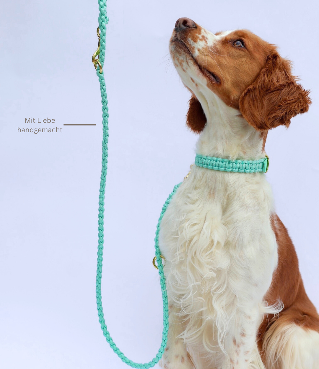 Leine & Halsband "Minzi"