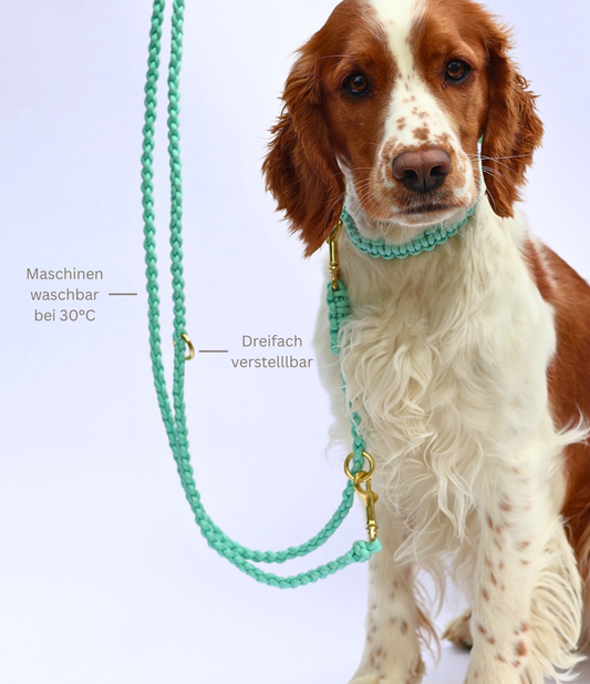 Halsband "Minzi"