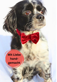 Bild in Galerie-Betrachter laden, Halsband "Ruby" mit Schleife
