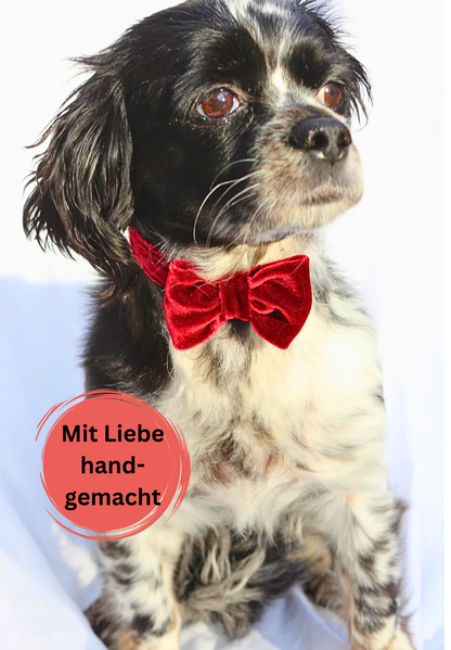 Halsband "Ruby" mit Schleife