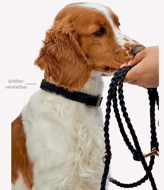 Halsband "Nero"