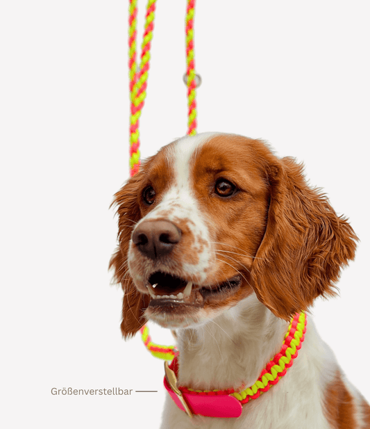Halsband „Olino“