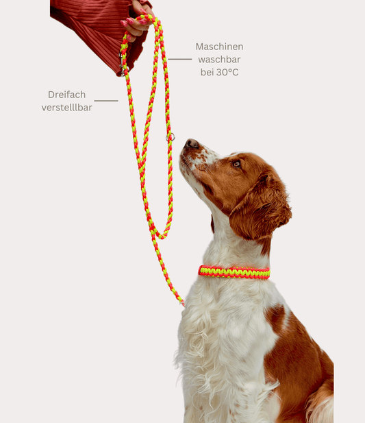 Leine & Halsband "Olino"