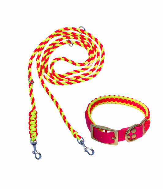 Leine & Halsband "Olino"