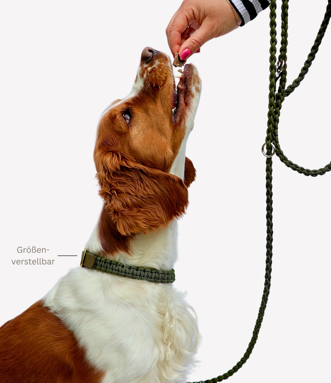 Halsband "Olive"