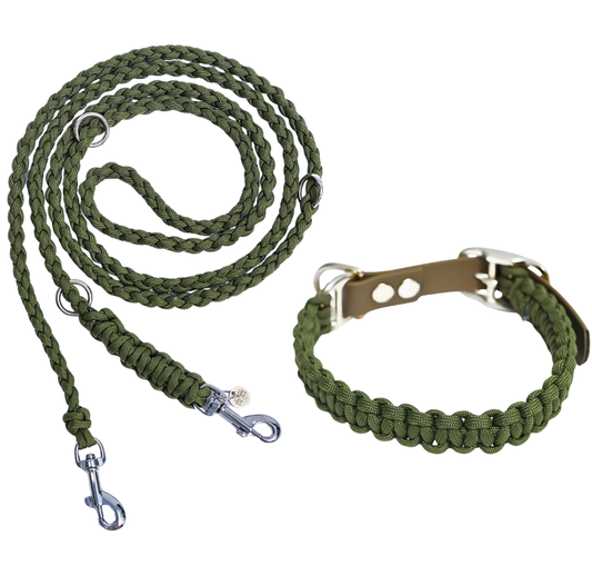 Leine & Halsband "Olive"