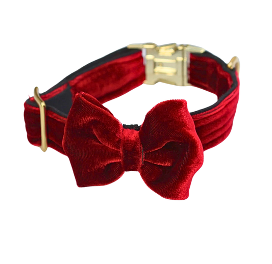 Halsband "Ruby" mit Schleife