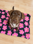 Bild in Galerie-Betrachter laden, Hundedecke Flower
